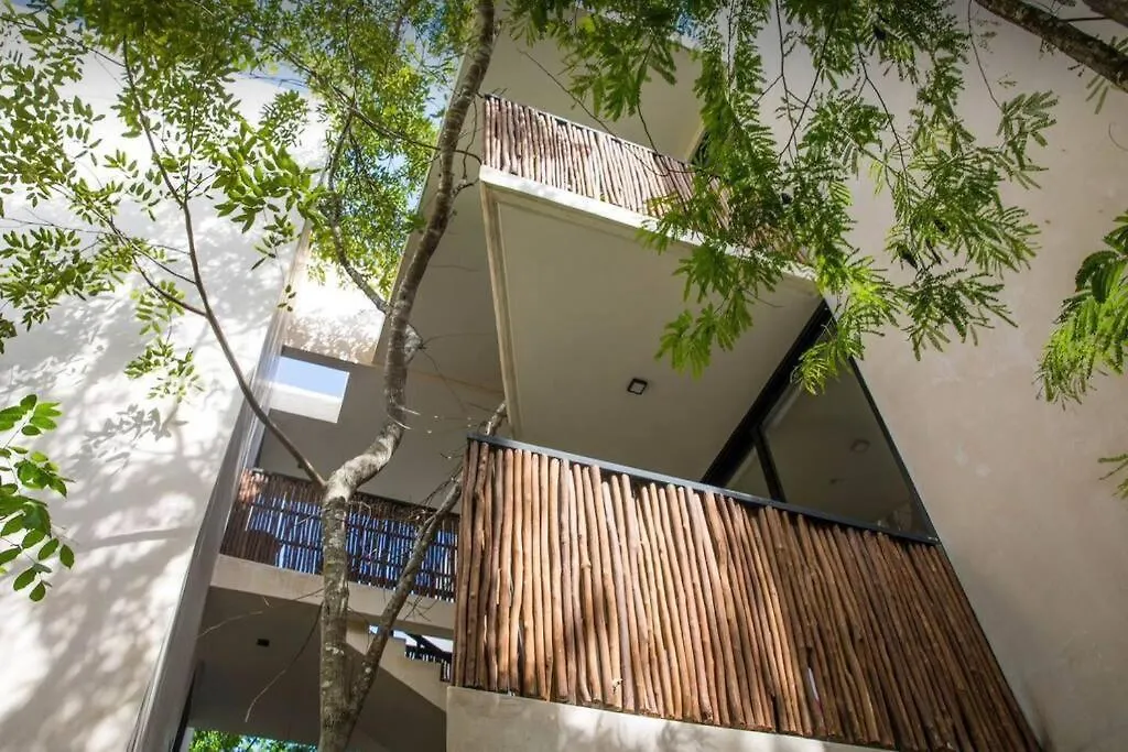 Apartment New Loft! Jungle Gym Best Pool Tulum